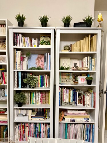 本棚に並んだ多様な本や装飾品、上には観葉植物が置かれたインテリアの風景。