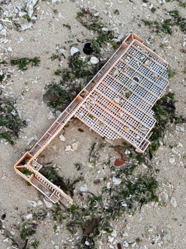 海岸に置かれたピンク色のプラスチックの網状の物体