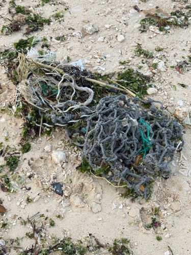 砂浜に漂着したゴミのネットと海藻