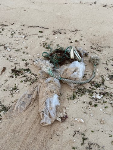 砂浜に放置されたプラスチックごみと縄